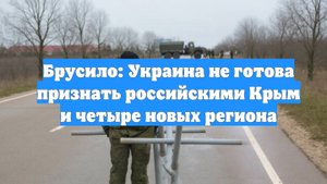 Брусило: Украина не готова признать российскими Крым и четыре новых региона