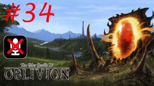 The Elder Scrolls IV: Oblivion #34  - Посох Мага