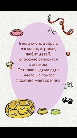 ❤ Веста ищет семью! 🏡🐕