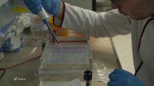 Выпуск новостей 26.05.2025