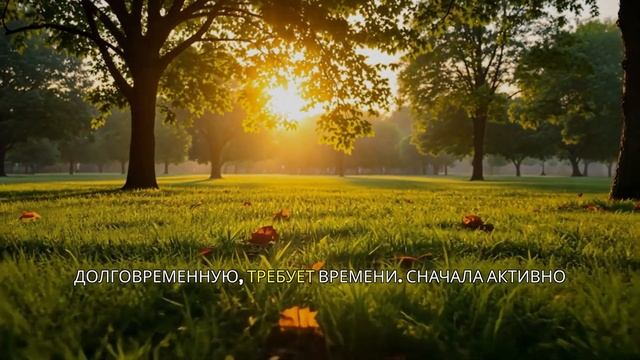 Как мозг создаёт карту памяти 🧠✨ смотреть онлайн