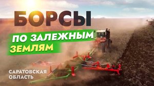 БОРСЫ по залежным землям. Саратовская область