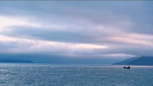 Моя любимая акватория Бухта Нагаева! Видео Юлии Егоровой. 🌊💜💙❤️