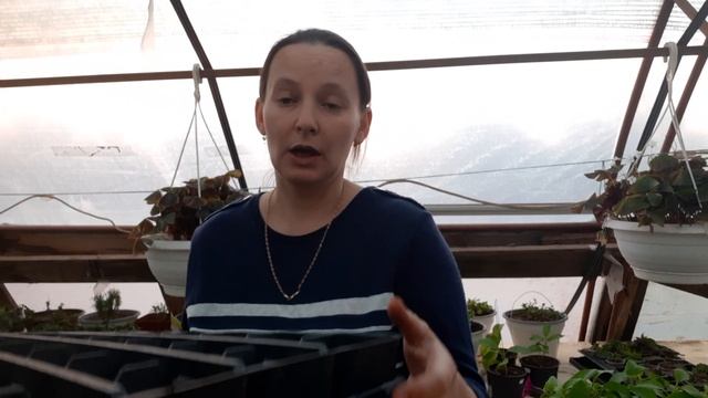 организация рабочего пространства смотреть онлайн