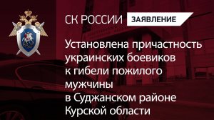 Установлена причастность украинских боевиков к гибели пожилого мужчины в Курской области