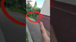 Мы шпионы! /ШПИОНЮ ЗА ЛЮДЬМИ💥