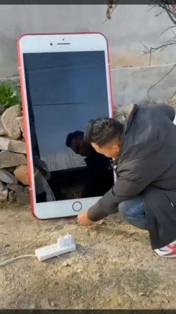 Китайский айфон по цене американского