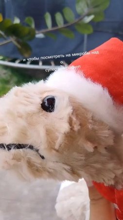 почему мы не можем разглядеть вирусы?!