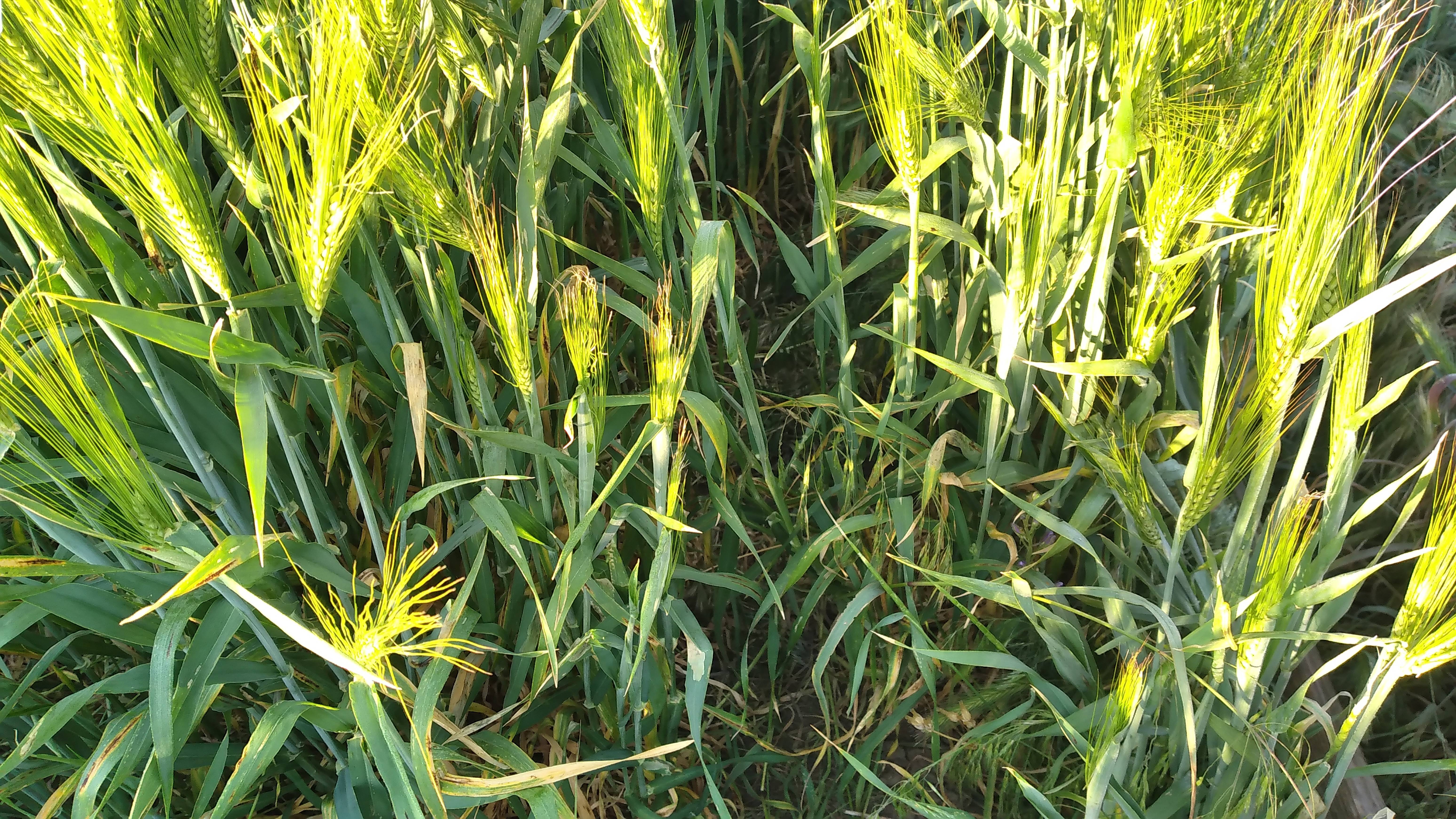 Практикум ,,Первые деньги из Телеграм,,  1 ДЕНЬ