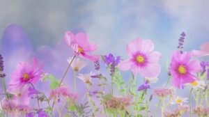 #группаарафат#новый#нашид#2021#Амандудегьари Группа Ара