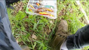 Трудовая щука в закоряженной лесной реке