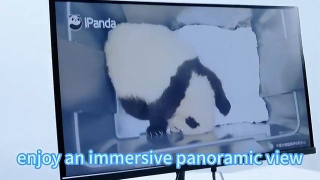 Монитор Hopestar ZP2416 смотреть онлайн