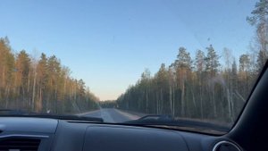 My live. Зори здесь тихие.