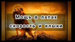 Один в поле не воин