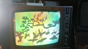 ,,В мире животных'' на телевизоре Рубин 714