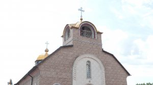 Кузбасский ковчег № 917