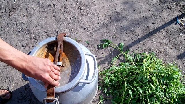 САМОЕ ЛУЧШЕЕ ОРГАНИЧЕСКОЕ УДОБРЕНИЕ  КАК СДЕЛАТЬ УДОБРЕНИЯ В ДОМАШНИХ УСЛОВИЯХ
