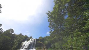 Саунд разрывает шаблоны о том, как должна звучать природа - Horsey -- Overhill Ln -- OPULENT