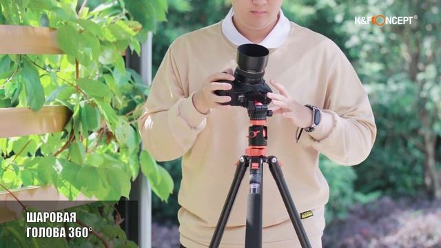 Штатив K&F Concept T254A4 + BH-28L смотреть онлайн