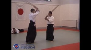 38 Aikido Ken Tai Ken Ai Hanmi Ikkyo Ura Shishiya Sensei Sandviken 2002