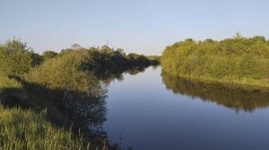 Природа Сурского Края близ села Чаадаевка.