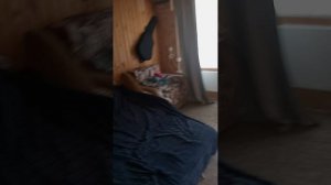 дом в Борисово Ржевский район.