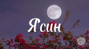 Мишари Рашид, красивое чтение ясин يس