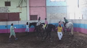 Экскурсия на конюшне "Три хвоста"