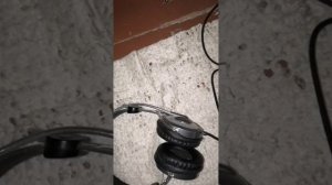 Наушники Genius С Микрофоном