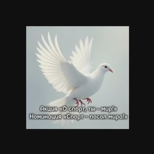 Конкурс "О спорт, ты - мир!" Номинация 1 "Спорт-посол мира" (МАОУ СОШ №1 г. Светлогорска)