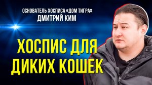 Бизнес до конца: чем платят дикие кошки за свою грациозность