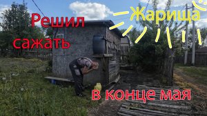 Жара. Решил всё сажать по позже.