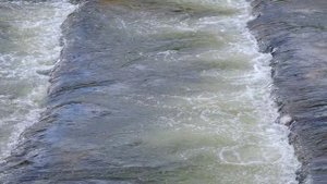 Жизненный поток 12