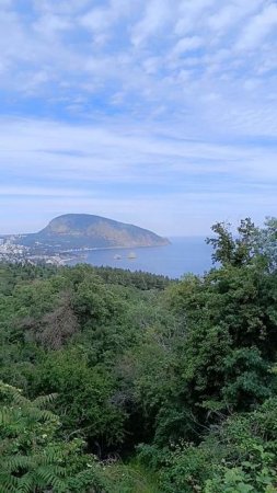Крым/Гурзуф
