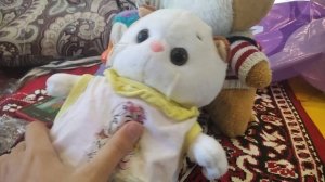 с днём рождения оливка и лаки /\_/\
                                                        ( • _ •)