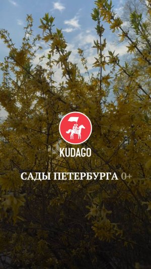 Сады Петербурга