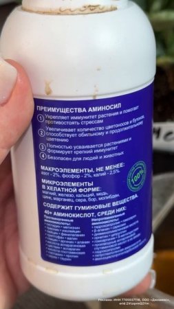 Даже чахлая ГЕРАНЬ ЗАЦВЕТЕТ!