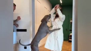 Юмор,приколы,испуг23