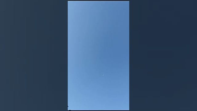 #Pigeons.Мои пискуны у Димы в Смоленске. смотреть онлайн