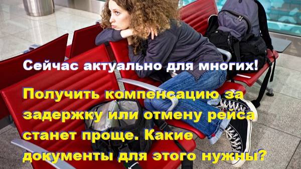 Получить компенсацию за задержку или отмену рейса станет проще. Какие документы для этого нужны?
