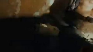 Падение ангела (2019)