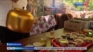 В горах Кабардино-Балкарии в разгаре сбор чая