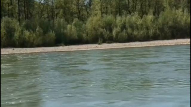 БЕЗ ТЕСТА ДНК Я ТЕБЯ ИЗ РОДДОМА ЗАБИРАТЬ НЕ СОБИРАЮСЬ!