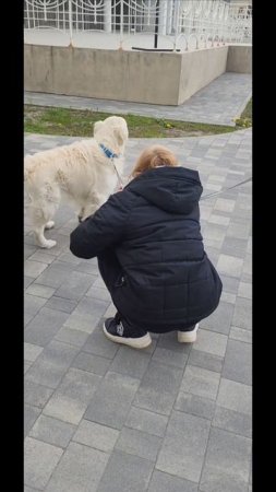 Рик. Встреча