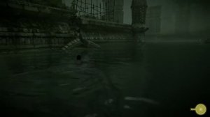 Колоссы с PS4. Ознакомление с игрой 2