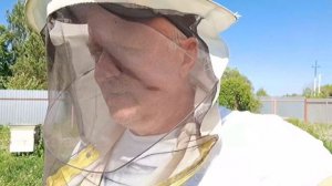 На моей пасеке в этом году нет клеща. Химию не применяю, а что же дало такой результат?