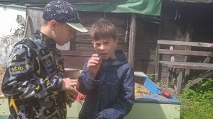 приколы