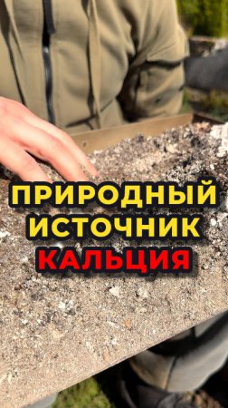 🌳ДРЕВЕСНАЯ ЗОЛА - это прекраснейшее удобрение, которое я никогда в жизни не выбрасываю🙌