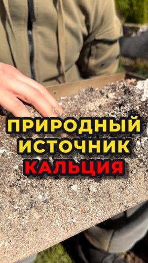 🌳ДРЕВЕСНАЯ ЗОЛА - это прекраснейшее удобрение, которое я никогда в жизни не выбрасываю🙌