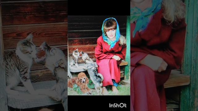 дача и результаты огородного труда прошлых лет.. смотреть онлайн